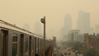 مرت الولايات المتحدة بأسوأ يوم لها في تاريخ دخان حرائق الغابات