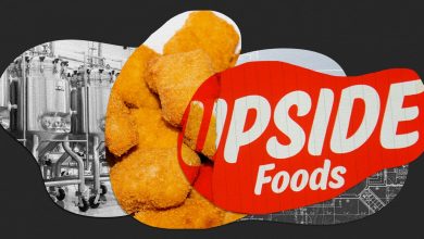 لقد أوقفت شركة Upside Foods الرائدة في مجال اللحوم المزروعة في المعمل توسعًا كبيرًا مؤقتًا