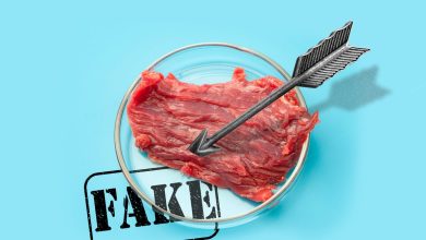 تصطف الولايات المتحدة لحظر اللحوم المزروعة في المختبر