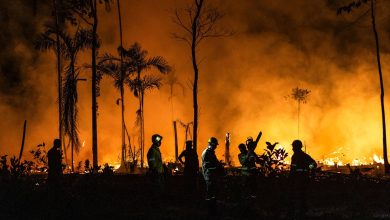 حرائق الغابات المتفشية تهدد بانهيار غابات الأمازون المطيرة