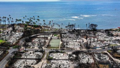 كيف فشل التخطيط والبنية التحتية أثناء حرائق غابات ماوي