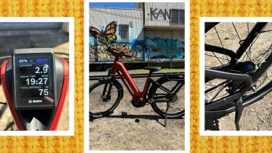 مراجعة Gazelle Eclipse: دراجة كهربائية هولندية فاخرة