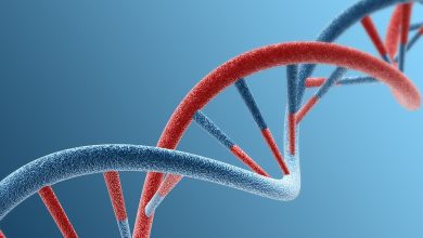 الولايات المتحدة تتخذ إجراءات صارمة ضد الحمض النووي الاصطناعي