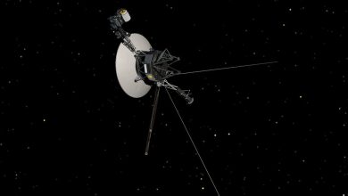 تقول ناسا إن Voyager 1 عادت إلى الإنترنت بالكامل بعد أشهر من توقفها عن المعنى