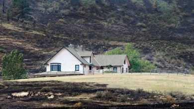 كيفية إنقاذ منزلك من حرائق الغابات