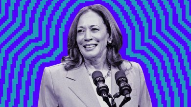 يجمع أنصار VC لـ Kamala Harris مبلغ 150 ألف دولار عبر مكالمة Zoom