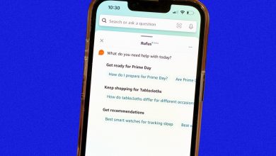 يتيح مساعد التسوق Rufus AI من أمازون الآن لبعض المتسوقين التحقق من سجل الأسعار