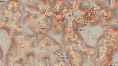 تم العثور على مدينة مفقودة من حضارة المايا باستخدام رسم الخرائط بالليزر