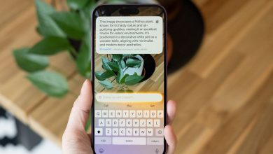 ستتيح لك Apple الترقية إلى ChatGPT Plus مباشرة من الإعدادات في iOS 18.2