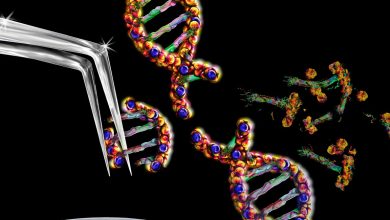 العلاج الأول بتقنية Crispr يشق طريقه إلى المرضى