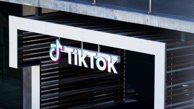 موظفو TikTok يتجاهلون الانتخابات الأمريكية