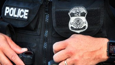 يمكن لشركة ICE بالفعل تجاوز قوانين المدينة الآمنة من خلال مراكز دمج البيانات