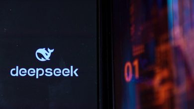 تطبيق AI الصيني Deepseek يرتفع في شعبية ، منافسين مذهل