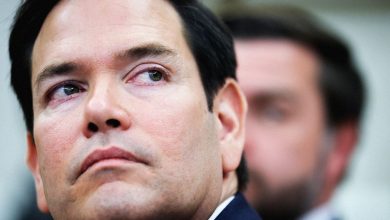 Marco Rubio يقتل متجر وزارة الخارجية لمكافحة Propaganda ، يعد بـ “ملفات Twitter”