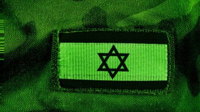 يقول A Palley VC إنه حصل على وصول Starlink في IDF في غضون أيام من 7 أكتوبر