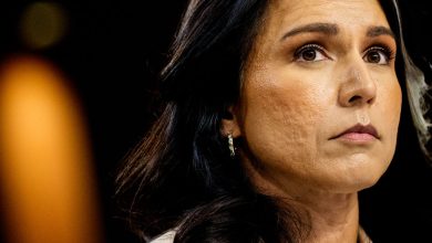 إعادة استخدام Tulsi Gabbard نفس كلمة المرور الضعيفة على حسابات متعددة لسنوات