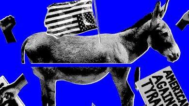 كيف يجتمع الديمقراطيون (ومفقودون) اللحظة