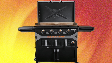 Blackstone Griddle Air Fryer Combo Review: سخيفة ، ولكن لطيفة