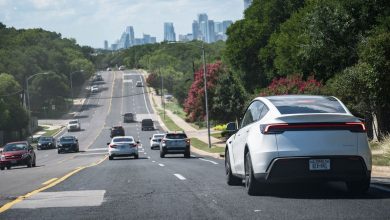 هذا هو السبب في إطلاق Tesla’s Robotaxi Bustters البشرية اللازمة